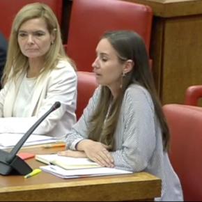 Comisión de Industria en el congreso de los diputados