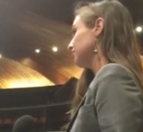 Intervención en el Consejo Europa sobre las dificultades de la mujer para acceder a la política