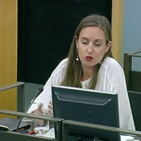 Intervención en comisión sobre cambio climático