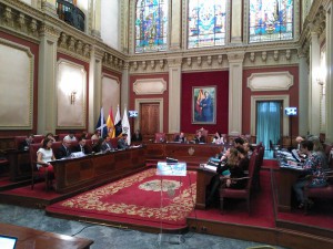 Pleno santa cruz