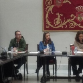 Melisa Rodríguez (C´s): “Lo que ha hecho daño a los canarios son las políticas impositivas que se han llevado a cabo en estos años en Canarias”