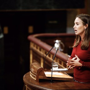 Ciudadanos reclama al Gobierno y a la Comisión Europea que vigilen estrictamente el acuerdo comercial con Ecuador para que el plátano canario no salga perjudicado