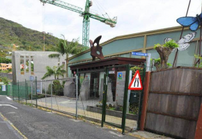 C´s lamenta “la falta de voluntad y desidia” del alcalde de Icod de Los Vinos para mantener el mariposario en el municipio C´s lamenta “la falta de voluntad y desidia” del alcalde de Icod de Los Vinos para mantener el mariposario en el municipio