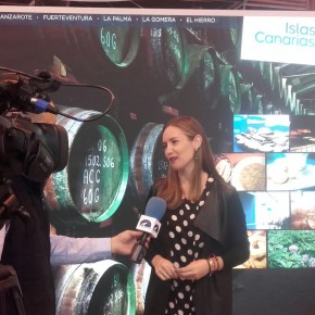 Melisa Rodríguez (C´s): “Es indispensable que Canarias busque y fomente nuevos mercados turísticos y nuevos tipos de turismo”