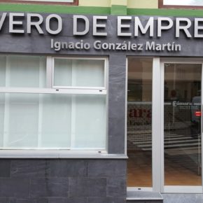 Cs logra el compromiso unánime del Ayuntamiento de Santa Cruz de La Palma para instar a la Cámara de Comercio a cambiar el nombre del vivero de empresas Ignacio González