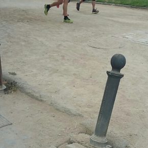 Ciudadanos denuncia el “deplorable” estado de abandono y deterioro del Parque Romano Ciudadanos denuncia el “deplorable” estado de abandono y deterioro del Parque Romano