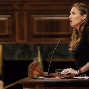 Ciudadanos (Cs) consigue el apoyo del Congreso y saca adelante la custodia compartida