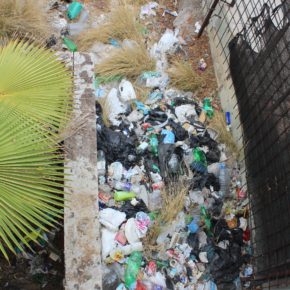 Ciudadanos denuncia la falta de limpieza y el estado de insalubridad de la calle La Estrella en Santa Cruz de Tenerife