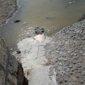 Ciudadanos denuncia que se siguen produciendo vertidos de aguas fecales en El Médano por “la absoluta dejadez” del equipo de Gobierno