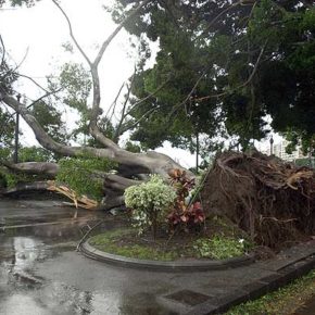 Ciudadanos pregunta al Ayuntamiento de San Cristóbal de La Laguna si tiene previsto un plan de actuación en caso de  tormenta tropical