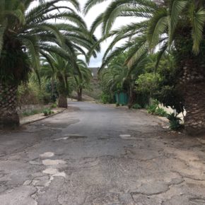 Ciudadanos reclama al Ayuntamiento de Tegueste que acondicione la vía de acceso al cementerio municipal