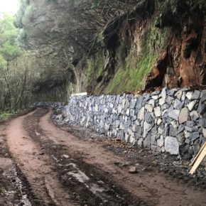 Ciudadanos denuncia la dejación de funciones del Ayuntamiento de La Laguna en las obras del camino de Las Hiedras