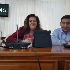 Ciudadanos solicita al Ayuntamiento de Arrecife que ponga en marcha el servicio de ventanilla única empresarial