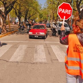 Cs exige al Ayuntamiento de Santa Cruz de Tenerife que explique en qué punto se encuentra el proyecto de los caminos escolares seguros