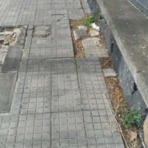 Cs denuncia la dejadez de CC y PSOE ante la falta de mantenimiento de la Avenida César Manrique en San Cristóbal de La Laguna