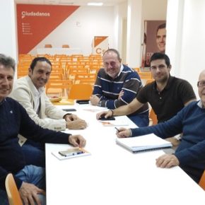 Cs Tenerife exige celeridad para poner en marcha un plan de choque eficaz contra la plaga de termitas subterráneas