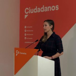 Rodríguez: “Hay que poner en marcha medidas que garanticen la conectividad de las islas”