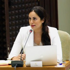 Vidina Espino califica de hito para la lucha por la igualdad social la nueva Ley Trans canaria