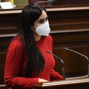 Vidina Espino emplaza a la consejera de Derechos Sociales a dejar a un lado tanto anuncio y dar solución a los problemas de los canarios