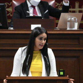 Vidina Espino asegura que el escudo social en Canarias está fallando y el presidente del Gobierno no lo quiere ver