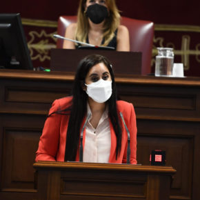 Vidina Espino a Noemí Santana: “El paraguas que cubre los servicios sociales en Canarias está lleno de agujeros”